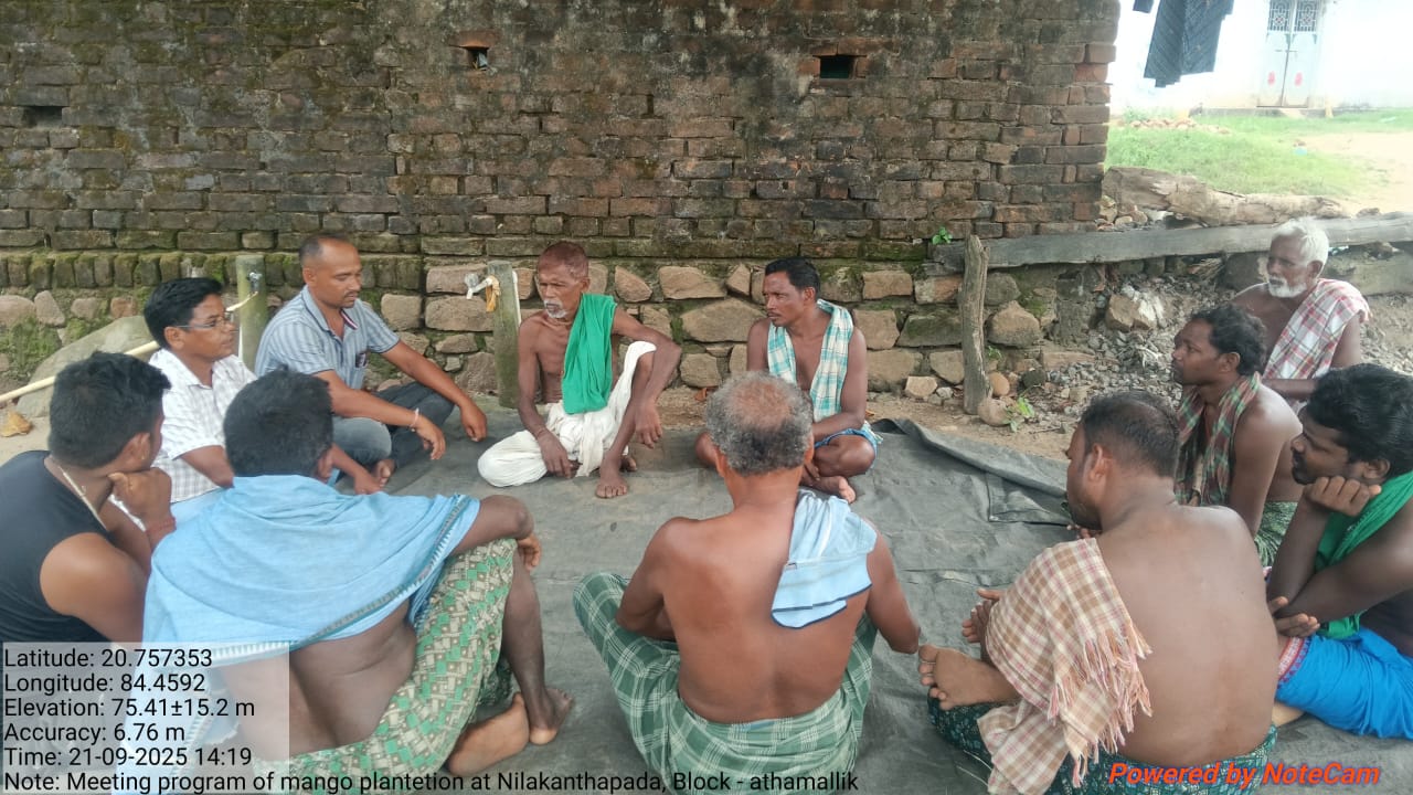 Mango Plantation Meeting