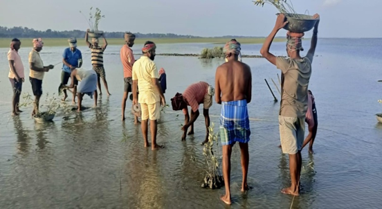 Community Mangrove Planting