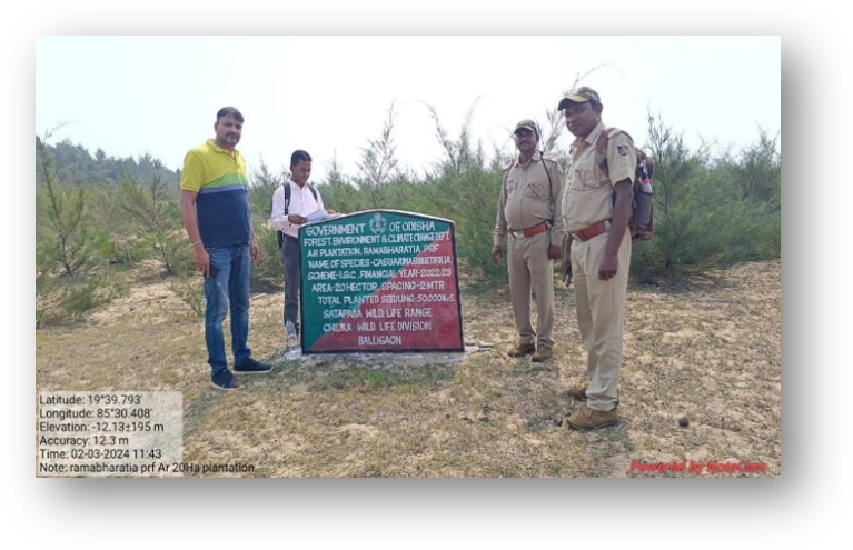 Casuarina Plantation Assessment