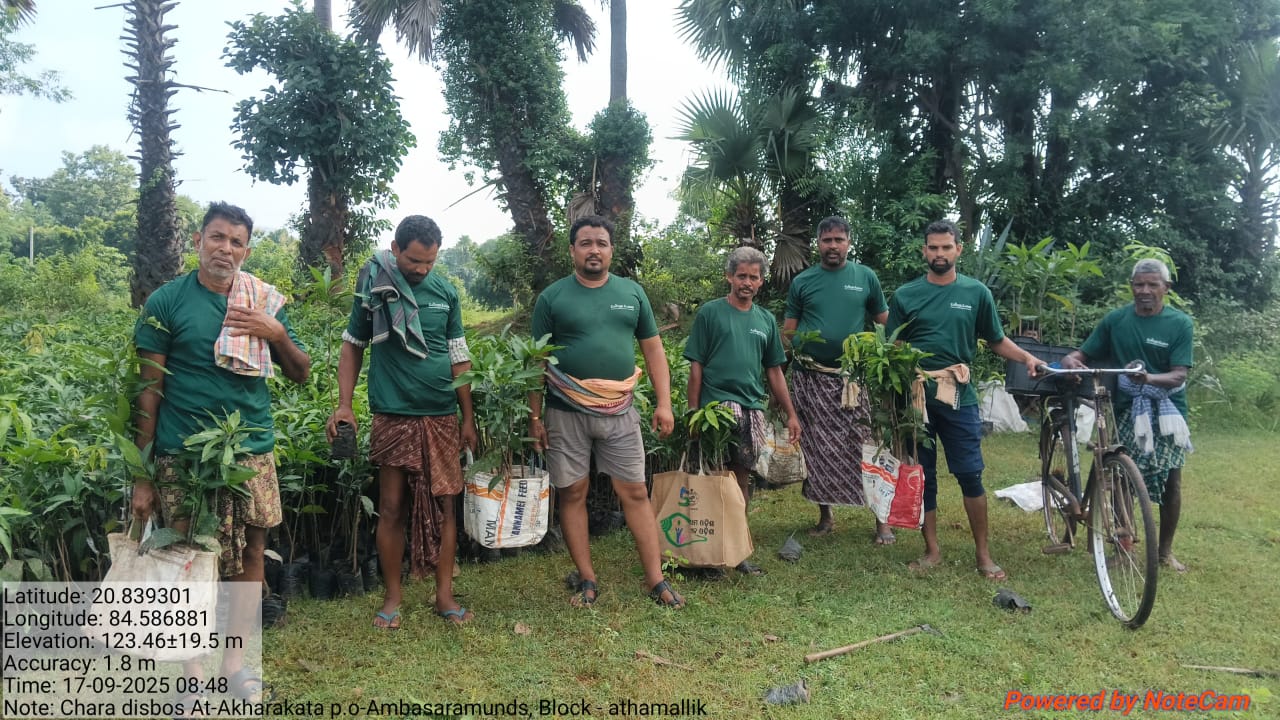 Sapling Distribution