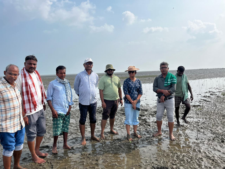 Mangrove Site Assessment