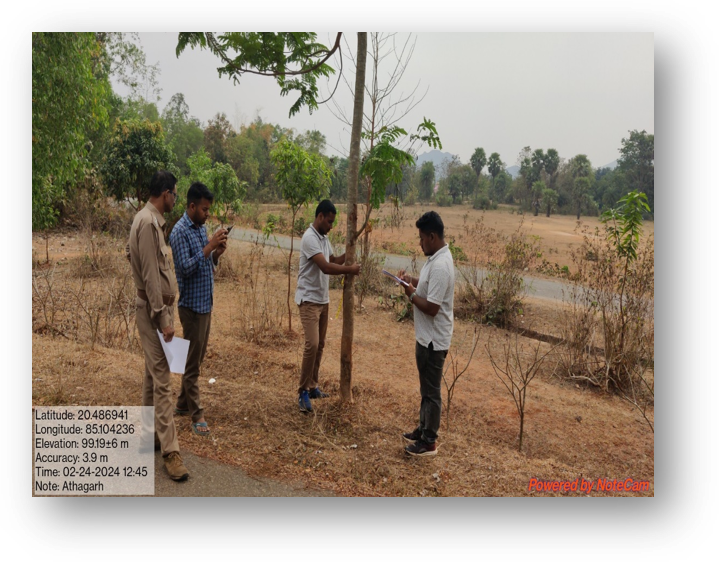 Sapling Growth Measurement